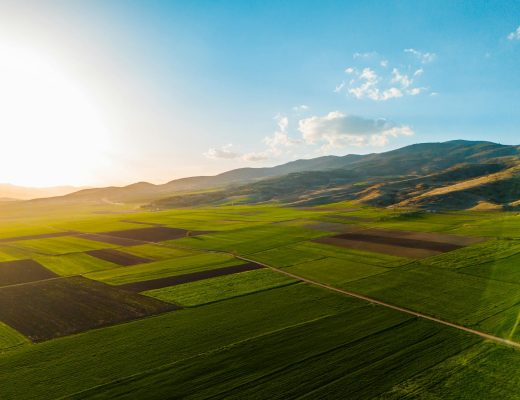 Expansive green fields under a vibrant sunset sky, showcasing rural beauty and tranquility.