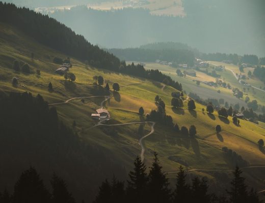 Early morning sunlight bathes the peaceful rolling hills of Austria, creating a serene and picturesque landscape.