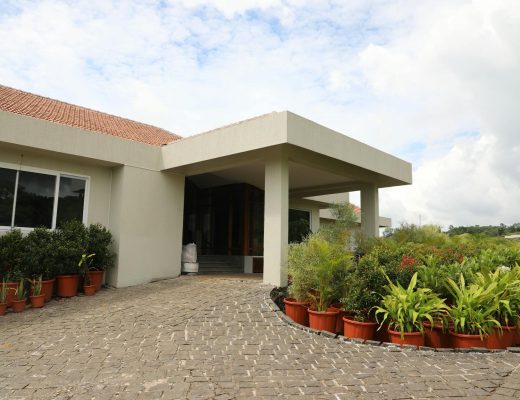 Entrance of a modern home with potted plants and paved walkway under cloudy sky.