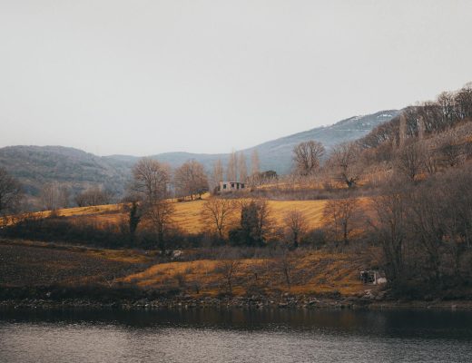 Captivating autumnal landscape featuring rolling hills, trees, and a serene lake.