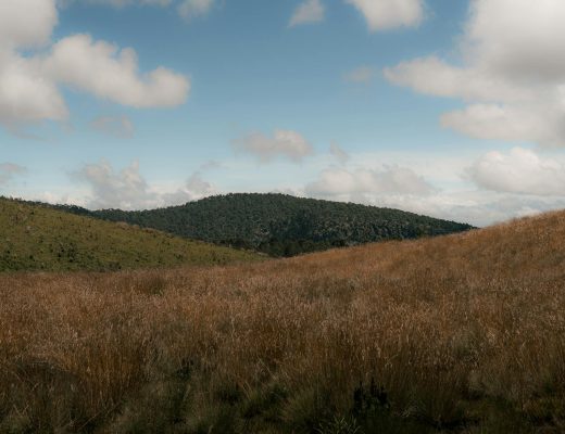 A tranquil landscape featuring grassy hills and a blue sky dotted with clouds.